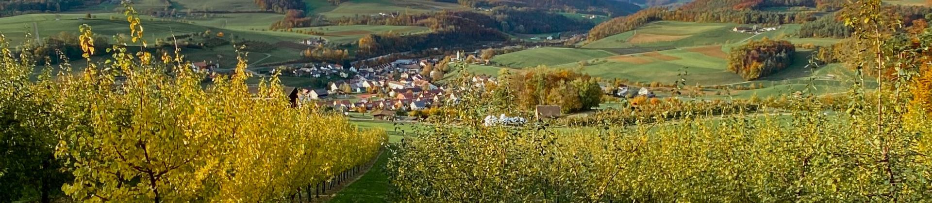 Panorama Herbst rt